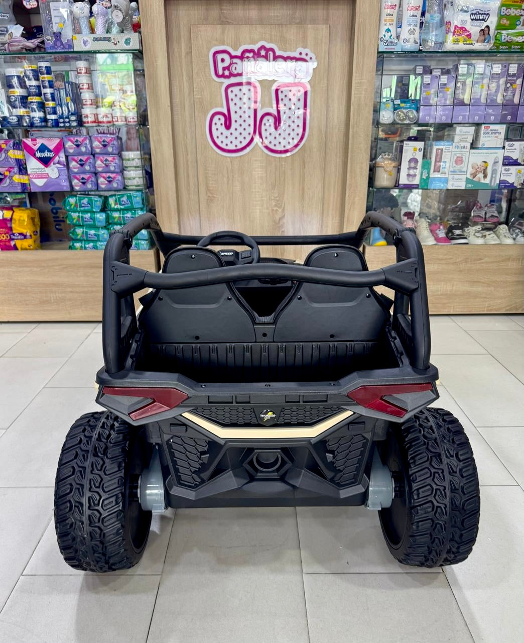 Carro Eléctrico RZR 24V