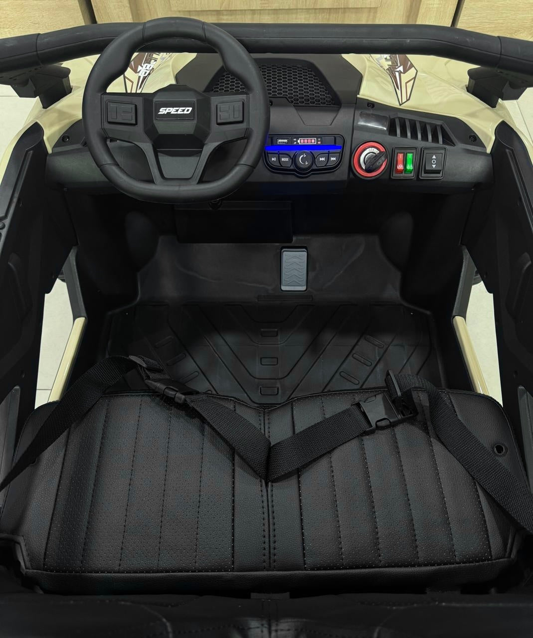 Carro Eléctrico RZR 24V