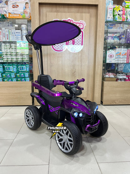 Cuatrimoto paseadora eléctrica Metalizada