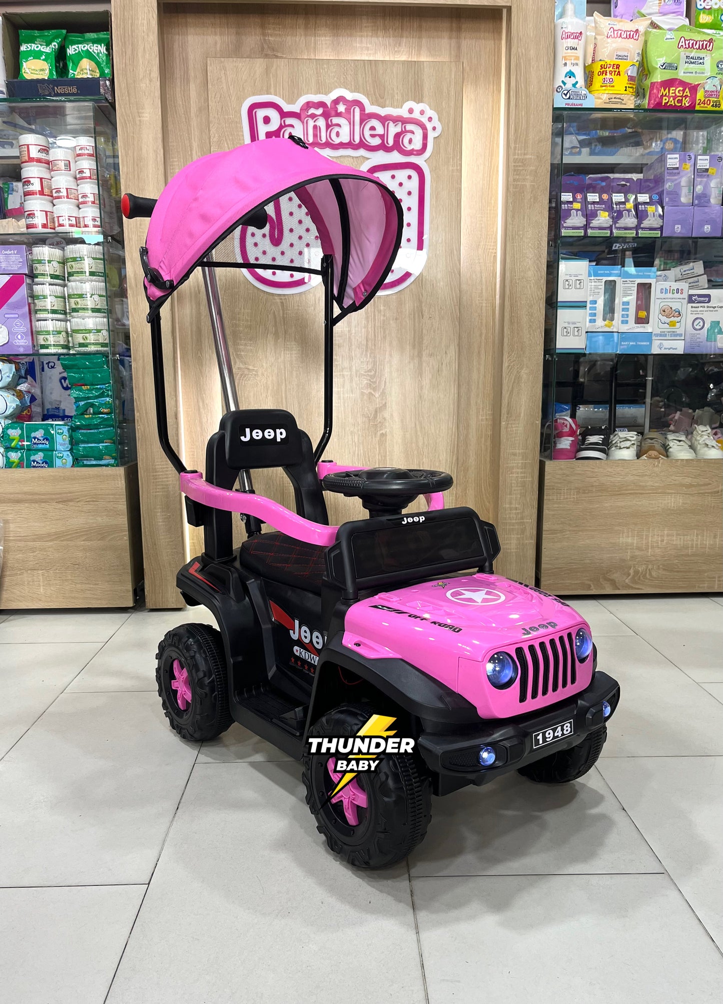 CAMPERO PASEADOR ELECTRICO